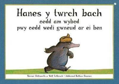 Cover for Werner Holzwarth · Hanes y Twrch Bach oedd am Wybod Pwy oedd Wedi Gwneud ar ei Ben (Pocketbok) (2020)
