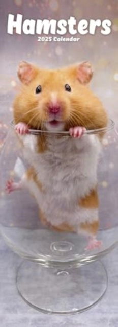 Hamsters Slim Calendar 2025 Cute Slimline Calendar - 12 Month - - Gadżety - Avonside Publishing Ltd - 9781804605257 - 1 lipca 2024