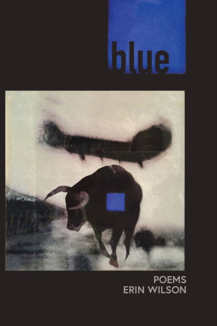 Cover for Erin Wilson · Blue: Poems (Paperback Book) (2022)