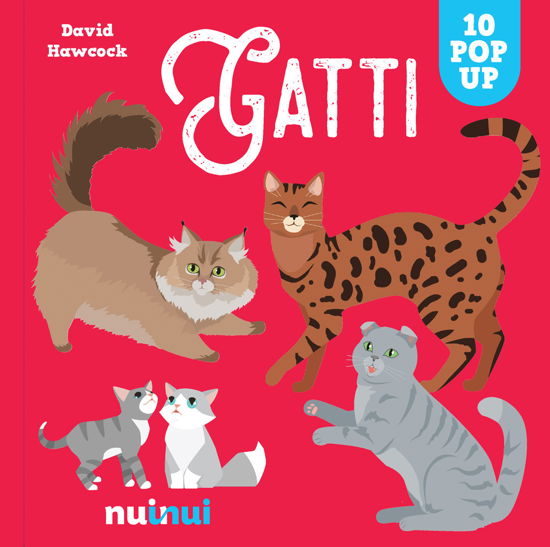 Cover for David Hawcock · Gatti. Costruisci In 3D. Ediz. A Colori (Book)