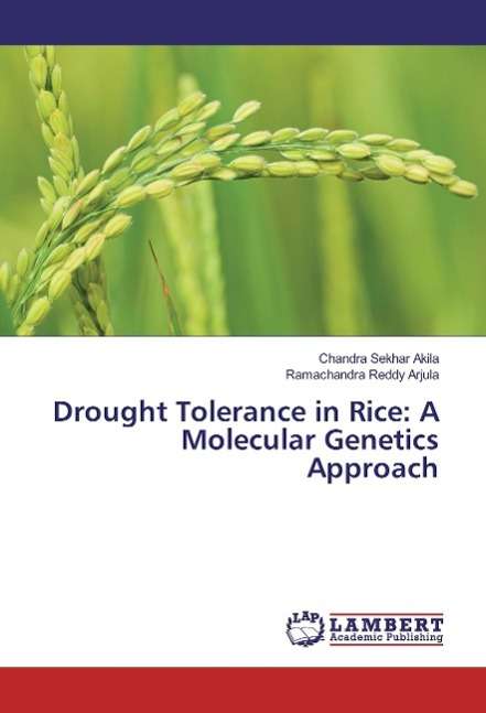 Cover for Akila · Drought Tolerance in Rice: A Mole (Book)