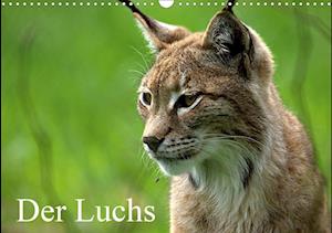 Cover for Klatt · Der Luchs / Geburtstagskalender ( (Book)