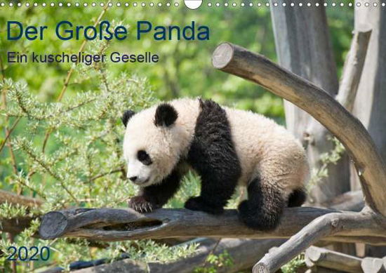 Cover for Selection · Der Große Panda Ein kuschelig (Bog)