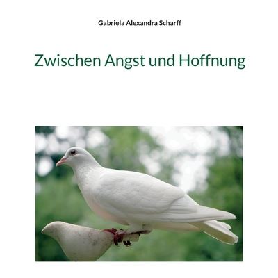 Cover for Gabriela Alexandra Scharff · Zwischen Angst und Hoffnung (Paperback Book) (2023)