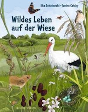 Cover for Ilka Sokolowski · Wildes Leben auf der Wiese (Hardcover Book) (2022)