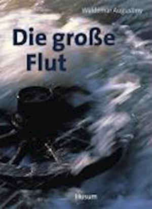 Cover for Waldemar Augustiny · Die große Flut (Hardcover Book) (1996)