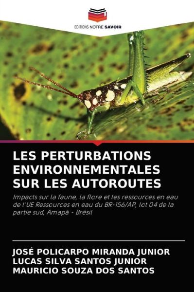 Cover for Jose Policarpo Miranda Junior · Les Perturbations Environnementales Sur Les Autoroutes (Paperback Book) (2021)
