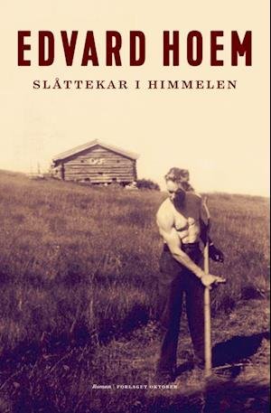 Cover for Edvard Hoem · Familien fra Rekneslia: Slåttekar i himmelen : roman (Taschenbuch) (2015)