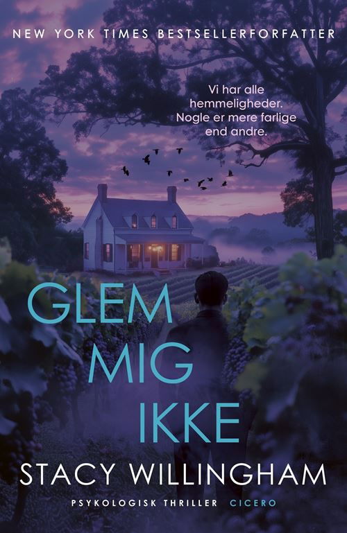 Cover for Stacy Willingham · Glem mig ikke (Sewn Spine Book) [1st edition] (2026)