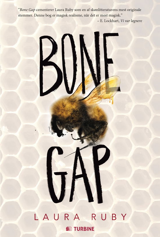 Cover for Laura Ruby · Bone Gap (Bound Book) (2017)