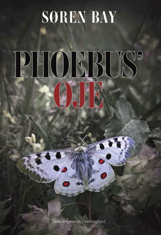 Cover for Søren Bay · Phoebus' øje (Hæftet bog) [1. udgave] (2025)