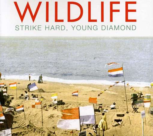 Strike Hard, Young Diamond - Wildlife - Musikk - ROCK - 0185627000258 - 29. mai 2012