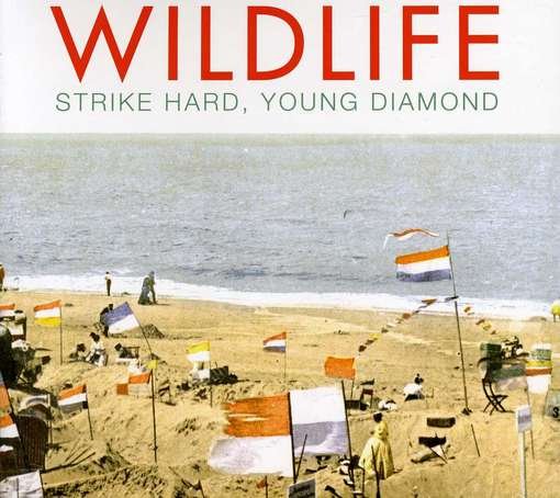 Cover for Wildlife · Strike Hard, Young Diamond (CD) (2012)