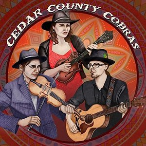 Delta Ave Juke Joint - Cedar County Cobras - Musiikki - CDB - 0190394016258 - maanantai 9. marraskuuta 2015