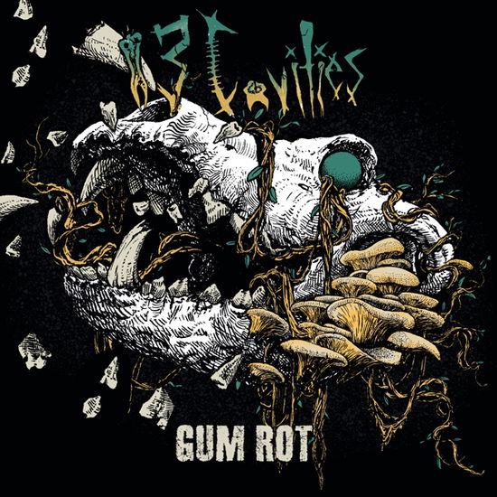 Gum Rot - 13 Cavities - Music - PHAMELESS - 0755491301258 - September 6, 2024