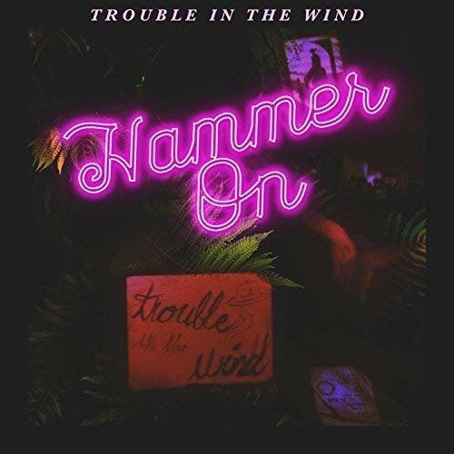 Hammer on - Trouble in the Wind - Music - In Your Neighborhood - 0888295779258 - July 20, 2018