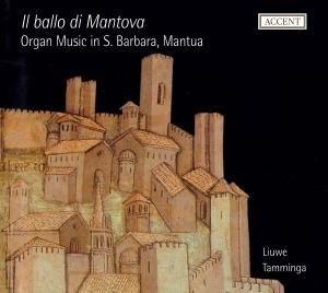 Cover for Bargnani / Tamminga,liuwe · Organ Music S. Barbara Mantua (CD) (2011)