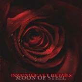 Insignificant Details - Moon of Steel - Musiikki - Steelheart - 8026274000258 - maanantai 7. huhtikuuta 2003