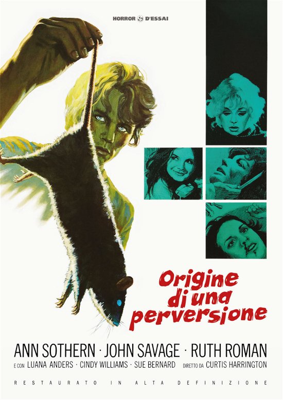 Cover for John Savageann Sotherncindy Williams · Origine Di Una Perversione (Restaurato In Hd) (DVD) (2023)