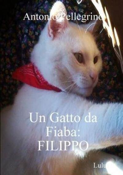 Cover for Antonio Pellegrino · Un Gatto da Fiaba (Paperback Book) (2018)
