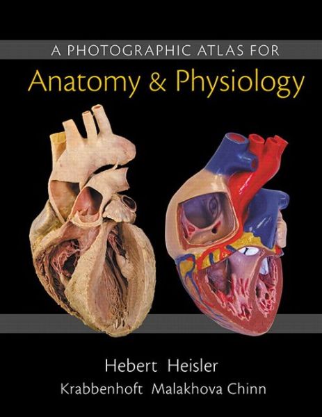 Cover for Nora Hebert · Photographic Atlas for Anatomy &amp; Physiology, A (Loose-leaf) (2014)
