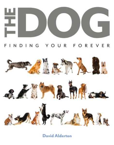 Cover for David Alderton · The Dog: Finding Your Forever (Hardcover Book) (2020)