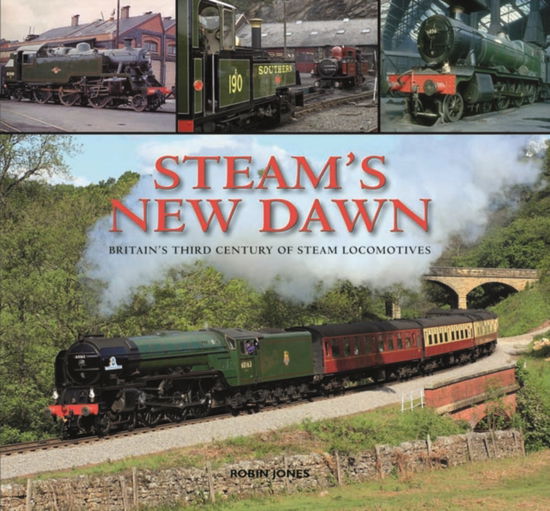 Steam's New Dawn - Robin Jones - Książki - Halsgrove - 9780857041258 - 28 października 2011