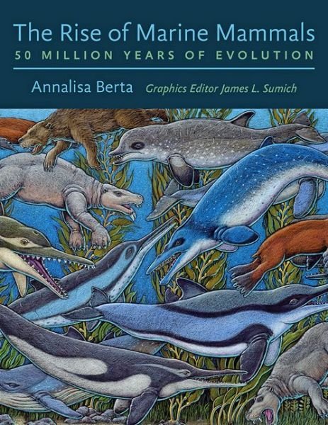 Cover for Berta, Annalisa (Professor, San Diego State University) · The Rise of Marine Mammals: 50 Million Years of Evolution (Hardcover Book) (2017)