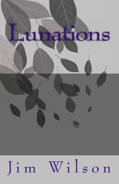 Cover for Jim Wilson · Lunations (Paperback Book) (2013)