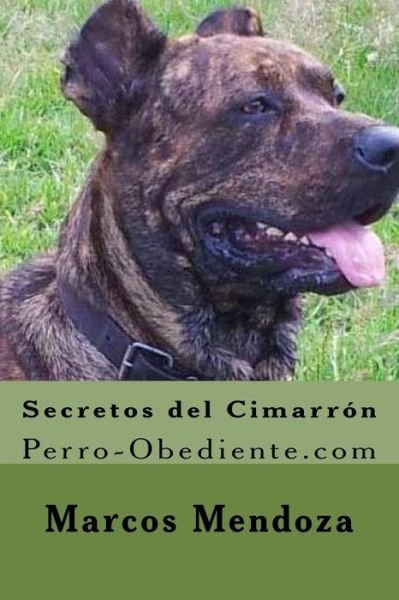 Cover for Marcos Mendoza · Secretos del Cimarron (Paperback Book) (2016)