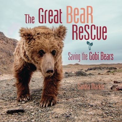 Cover for Sandra Markle · Great Bear Rescue (Book) (2020)