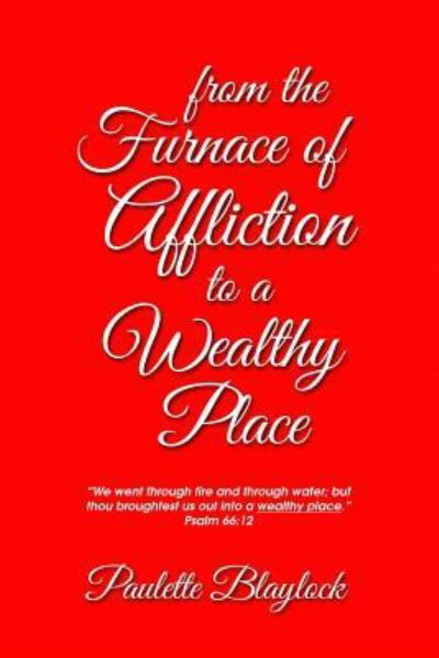 From the Furnace of Affliction to a Wealthy Place - Paulette Blaylock - Books - Ajoyin Publishing - 9781609201258 - January 3, 2017