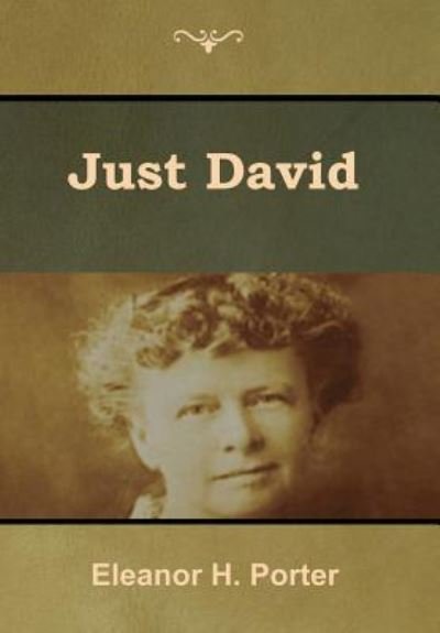 Cover for Eleanor H. Porter · Just David (Hardcover Book) (2019)