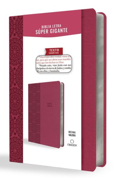 Cover for Reina Valera 1909 · Biblia Reina Valera 1909 letra super gigante, simil piel fucsia / Spanish Bible Reina Valera 1909 Super Giant Print, Fuchsia Leathersoft (Paperback Book) (2022)