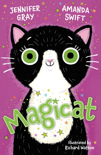 Magicat - Jennifer Gray - Books - HarperCollins Publishers - 9781781129258 - February 15, 2020