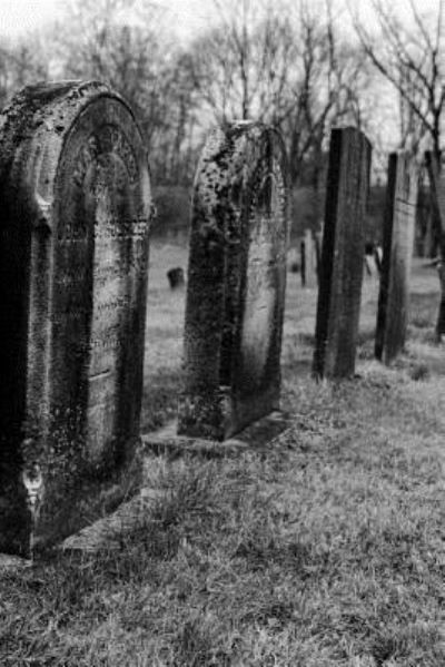 Cover for Pagan Essentials · Tombstones in Autumn Gothic Notebook (Taschenbuch) (2019)