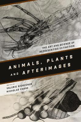 Cover for Animals, Plants and Afterimages: The Art and Science of Representing Extinction (Hardcover Book) (2022)