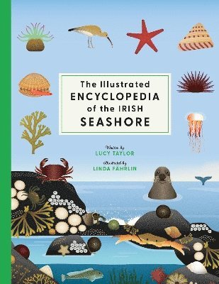 Cover for Lucy Taylor · The Illustrated Encyclopedia of the Irish Seashore (Hardcover Book) (2025)