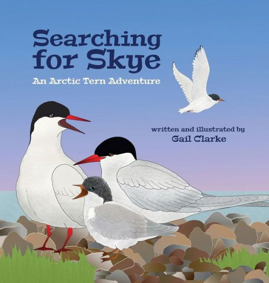 Cover for Gail Clarke · Searching for Skye (Book) (2017)