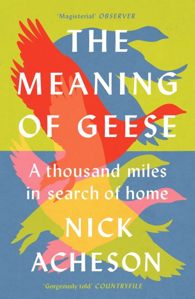 Cover for Nick Acheson · The Meaning of Geese: A Thousand Miles in Search of Home (Paperback Book) (2023)