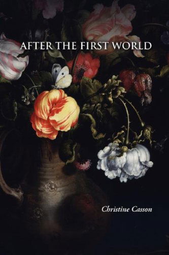 Cover for Christine Casson · After the First World (Paperback Book) (2008)