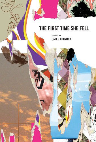 Cover for Caleb Ludwick · The First Time She Fell (Hardcover Book) (2013)