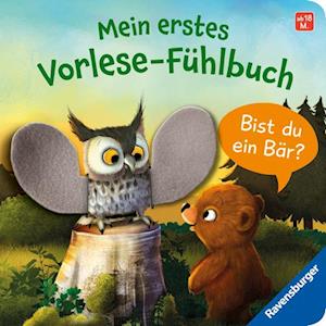 Cover for Kathrin Lena Orso · Mein erstes Vorlese-Fühlbuch: Bist du ein Bär? (Book) (2024)