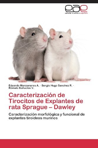 Cover for Rómulo Bañuelos V. · Caracterización De Tirocitos De Explantes De Rata Sprague - Dawley: Caracterización Morfológica Y Funcional De Explantes Tiroideos Murinos (Pocketbok) [Spanish edition] (2013)