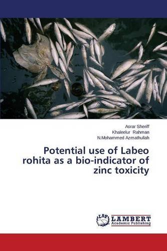 Cover for Azmathullah N.mohammed · Potential Use of Labeo Rohita As a Bio-indicator of Zinc Toxicity (Pocketbok) (2014)