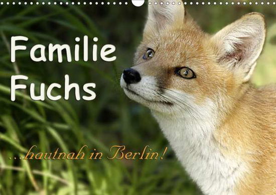 Cover for Brinker · Familie Fuchs hautnah in Berlin (Book)