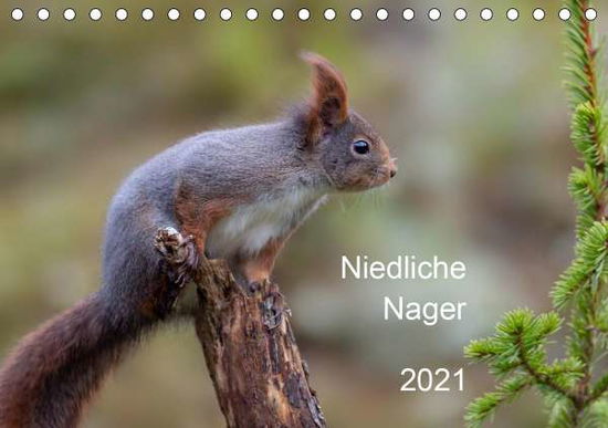 Cover for Oldani · Niedliche NagerCH-Version (Tisch (Book)