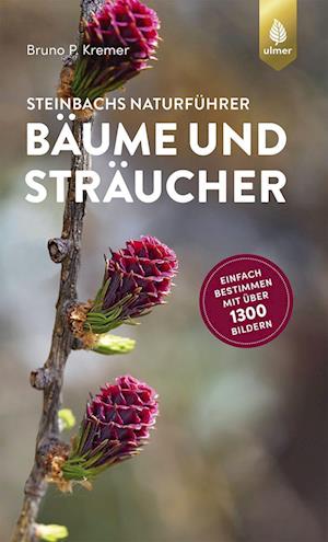 Cover for Bruno P. Kremer · Steinbachs Naturführer Bäume und Sträucher (Taschenbuch) (2022)