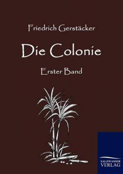 Die Colonie - Friedrich Gerstacker - Books - Salzwasser-Verlag Gmbh - 9783861953258 - March 19, 2010