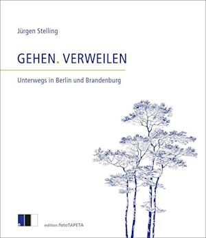 Cover for Jürgen Stelling · Gehen. Verweilen (Book) (2022)